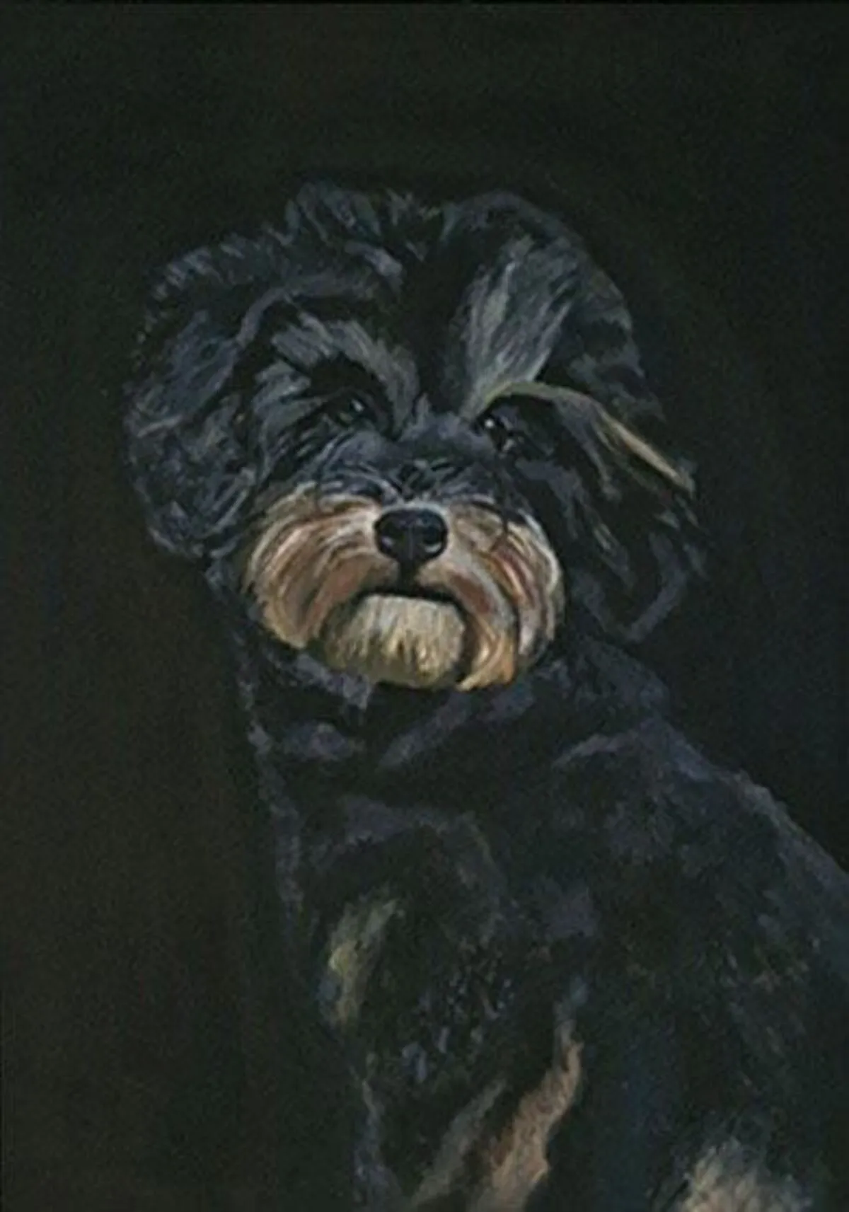 Basil