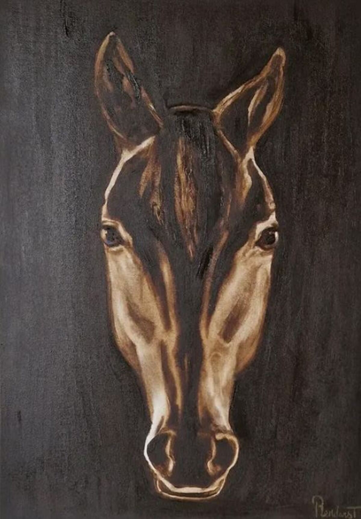 Brown beauty